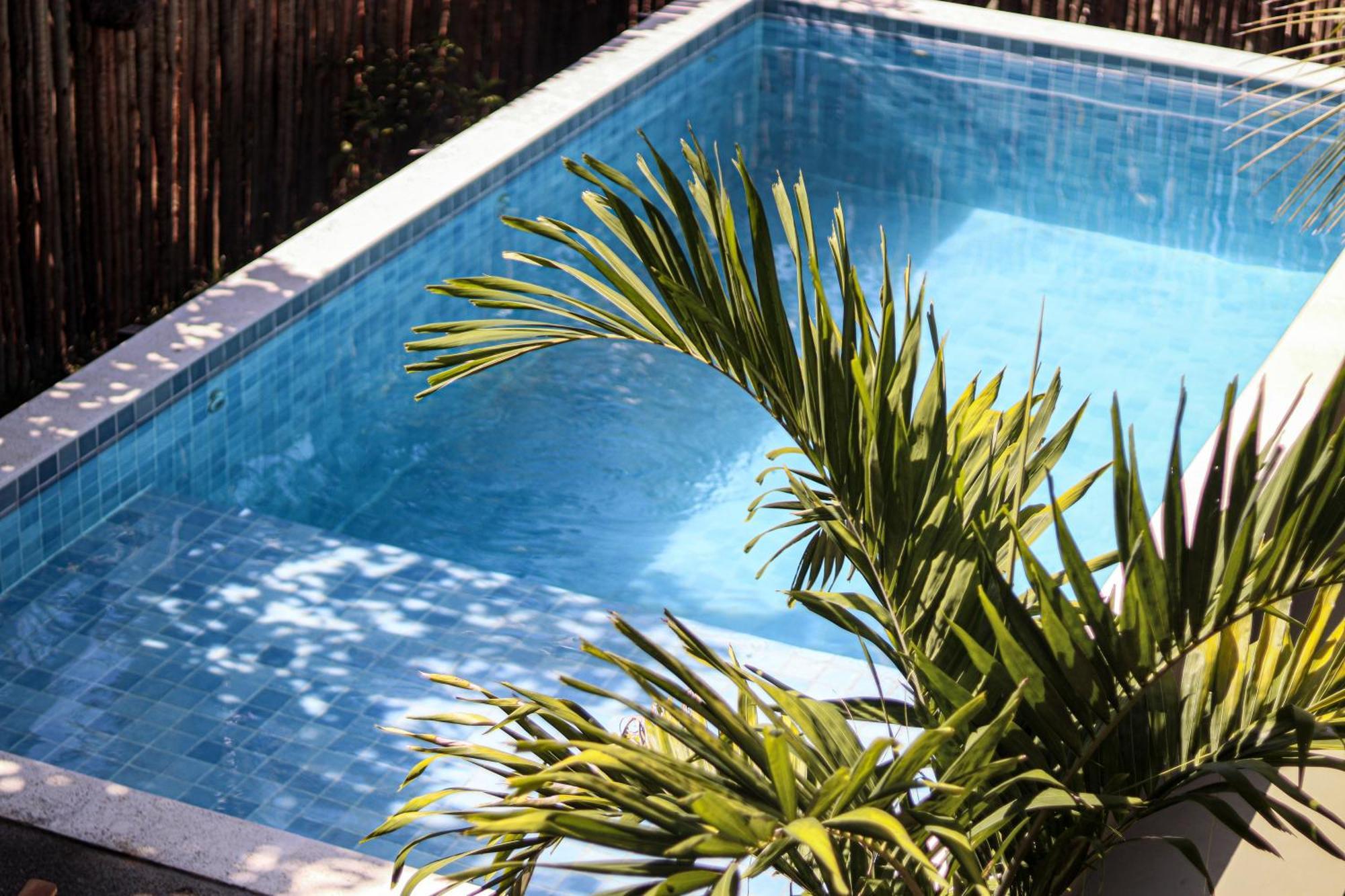 Carpe Diem Suites Taipu De Fora Marau  Exteriér fotografie